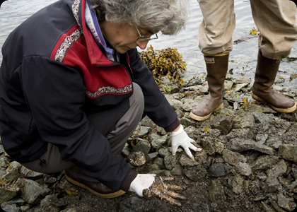 Black Wave: The Legacy Of The Exxon Valdez